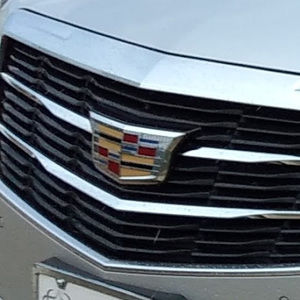 Meet your Posher, Paul